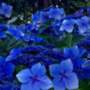 Meet your Posher, Abijah